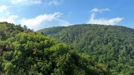 Flying-over-hill-covered-with-green-forest