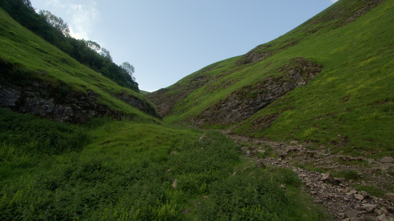 Green Valley Landscape with Rocky Gully