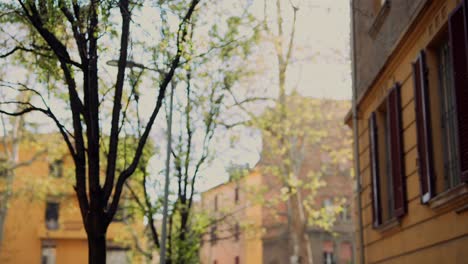 italian cityscape with trees