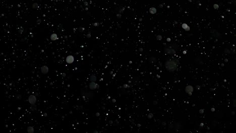 nieve en cámara lenta sobre un fondo negro