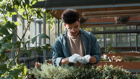 male gardener working indoors