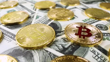 gold bit coin btc coins and dollar bills.