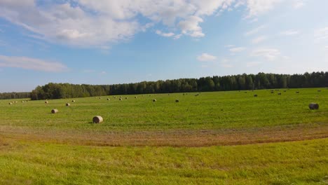 field with haystacks, steadicam shooting