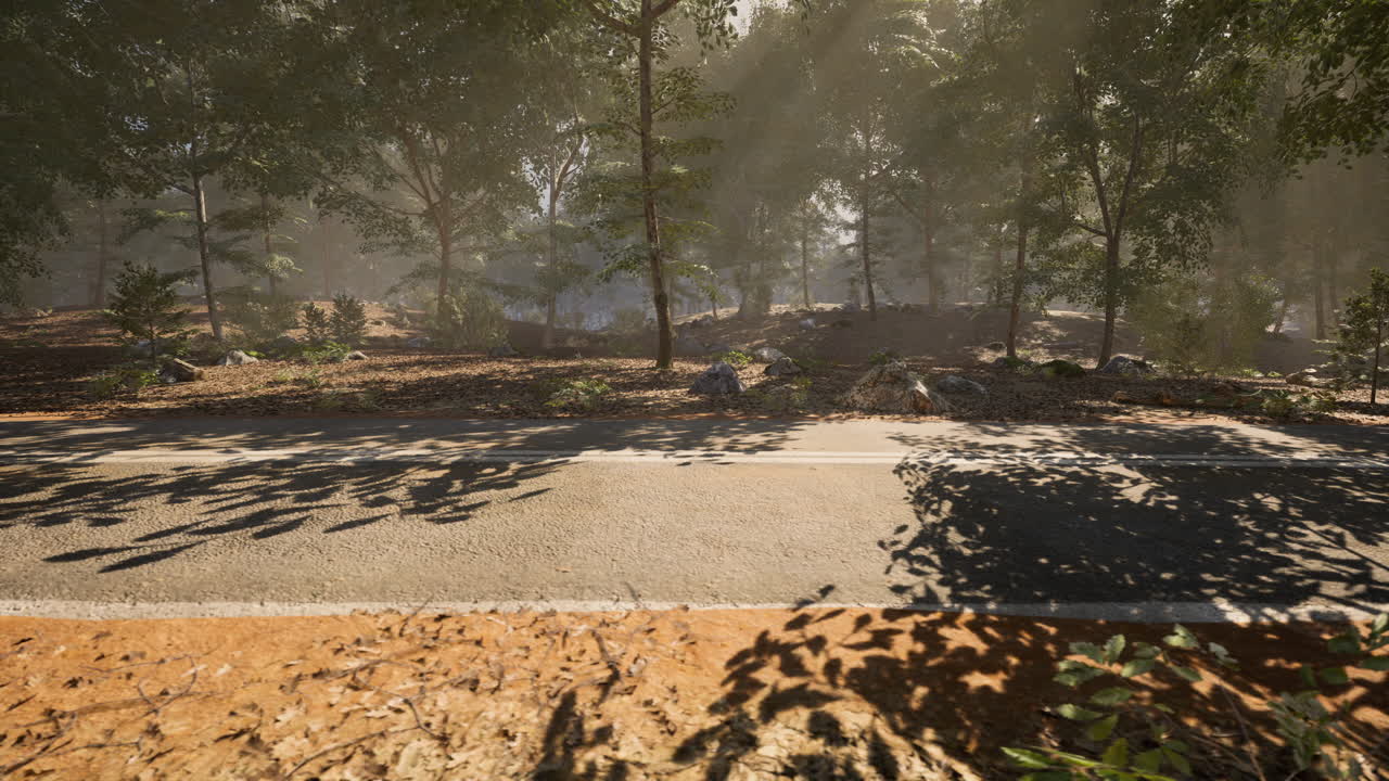 A serene morning view of a misty forest road surrounded by greenery