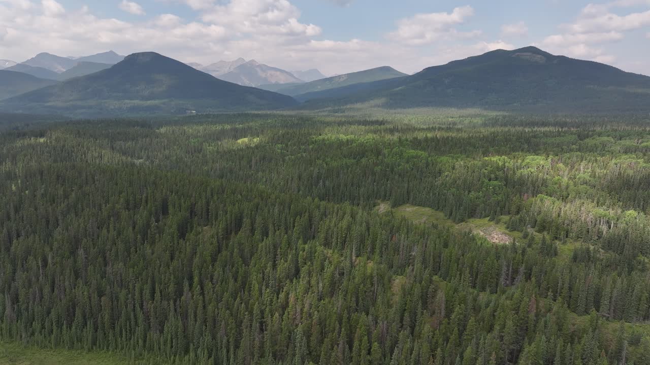 el bosque boreal se extiende sobre las estribaciones de alberta, canadá.