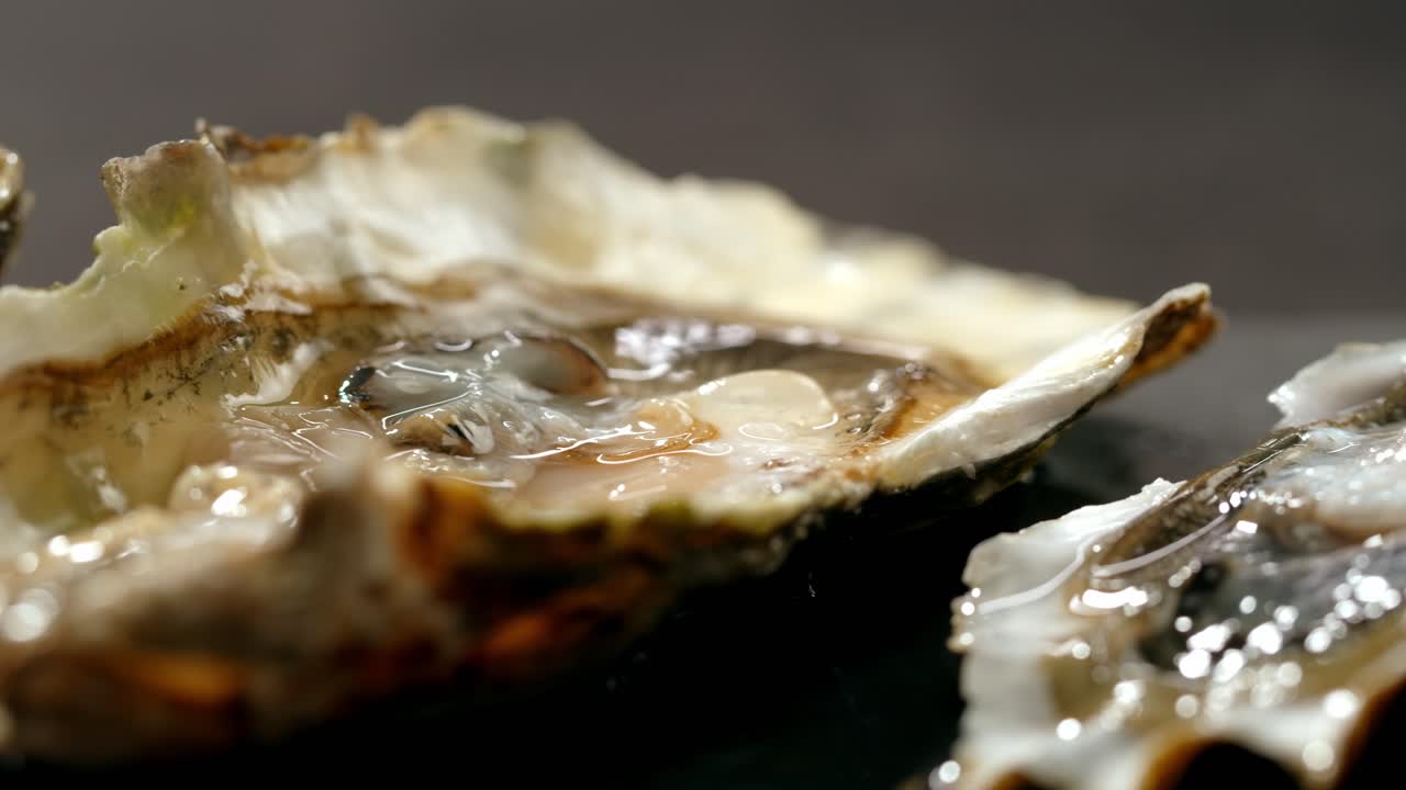 Close-up of Raw Oysters