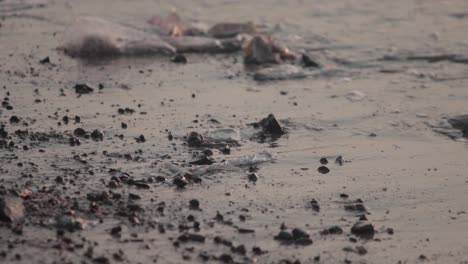 plastic-washing-up-on-the-sea-shore