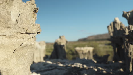 mono lake stalagmites in tufa_close up
