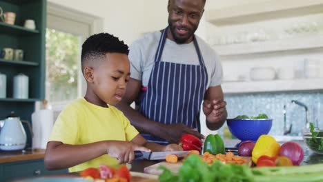 Afroamerikanischer-Vater-Und-Sohn-In-Der-Küche,-Tragen-Schürzen-Und-Bereiten-Gemeinsam-Das-Abendessen-Zu