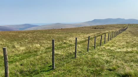 Green-fields-and-hills-in-nature-of-Lake-District-in-Cumbria,-England