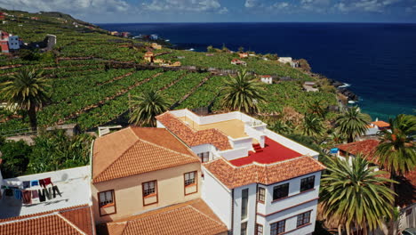 drone aéreo disparado sobre la costa de la palma, islas canarias, españa. alta vista del océano turquesa, costa accidentada, plantaciones de plátanos y la pequeña ciudad local. destino de vacaciones de verano.