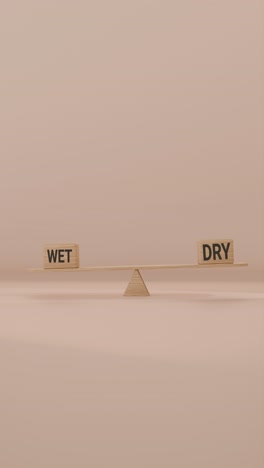 veritcal video of wet and dry balancing on seesaw