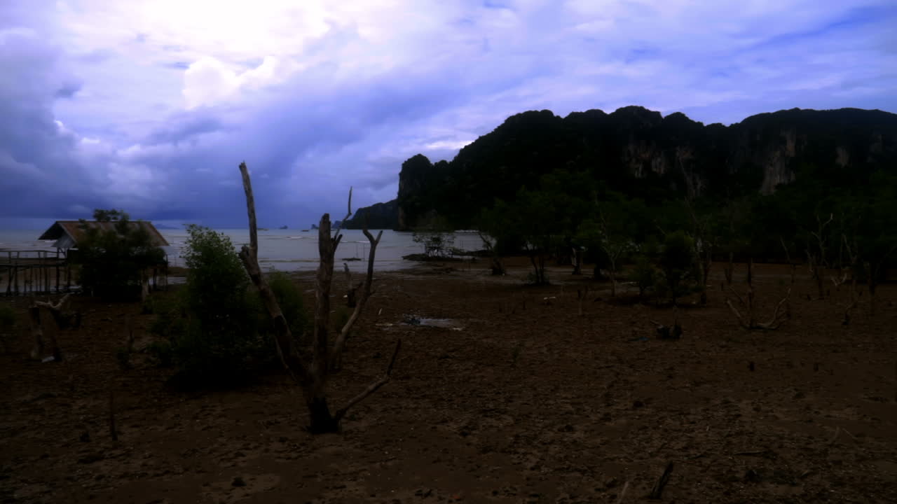 mirando a su alrededor en una pequeña playa en tailandia