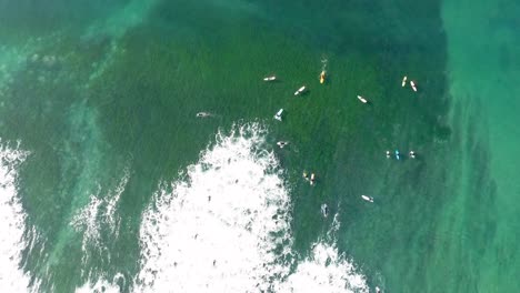 drone view of surfers in encinitas