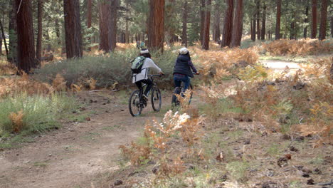 Pareja-De-Lesbianas-En-Bicicleta-Choca-Los-Cinco-En-Un-Bosque,-Vista-Posterior