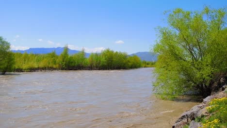 river in georgia, view from the mountains. selective focus. nature.