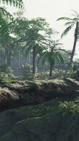 una selva exuberante