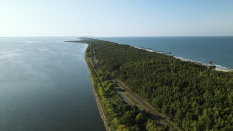 Dichter-Wald-Auf-Der-Sandbank