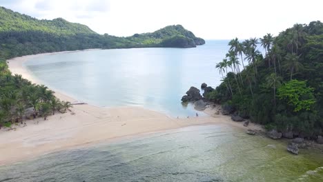 white sand beach cove with lots of coconut trees in the island