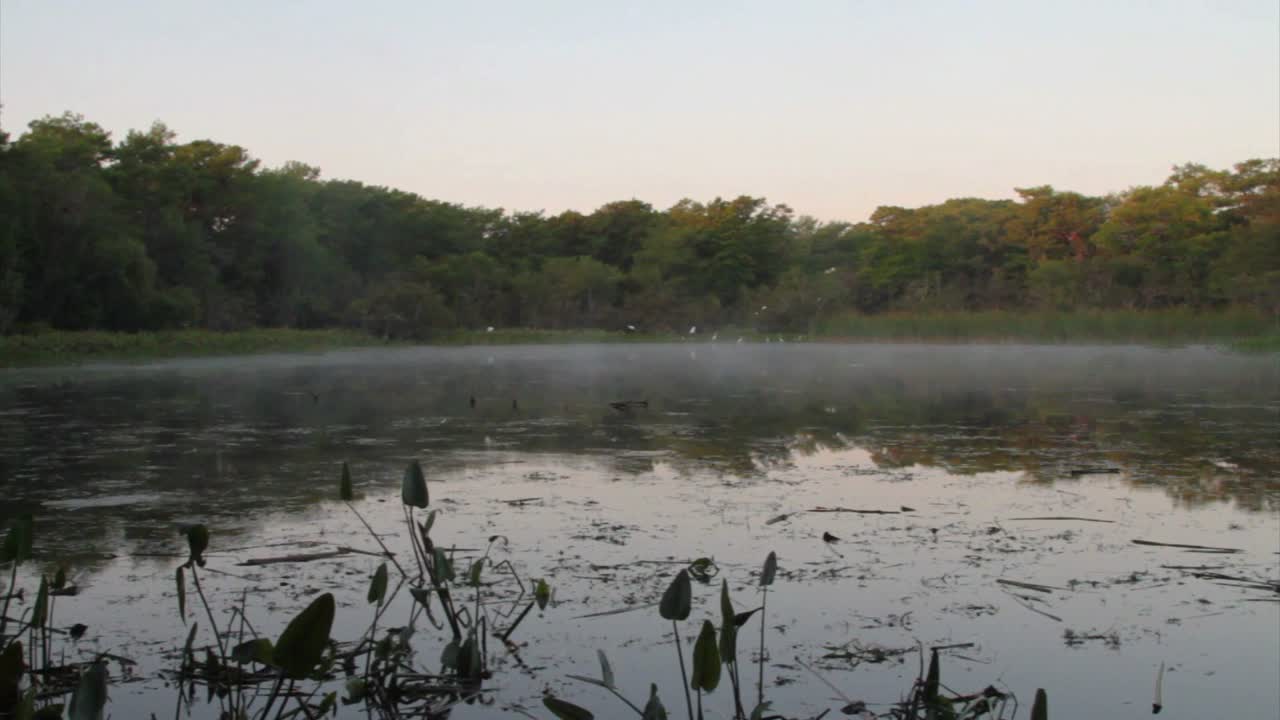 플로리다 에버글레이즈의 늪을 가로지르다