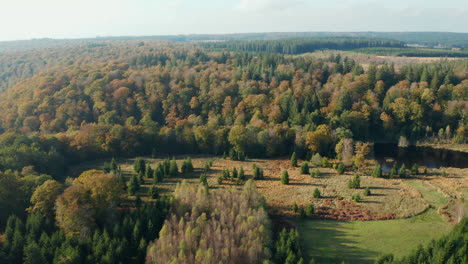 Vasto-Paisaje-Forestal-De-Fagne-Du-Rouge-Poncé-En-Saint-Hubert,-Bélgica---Toma-Aérea