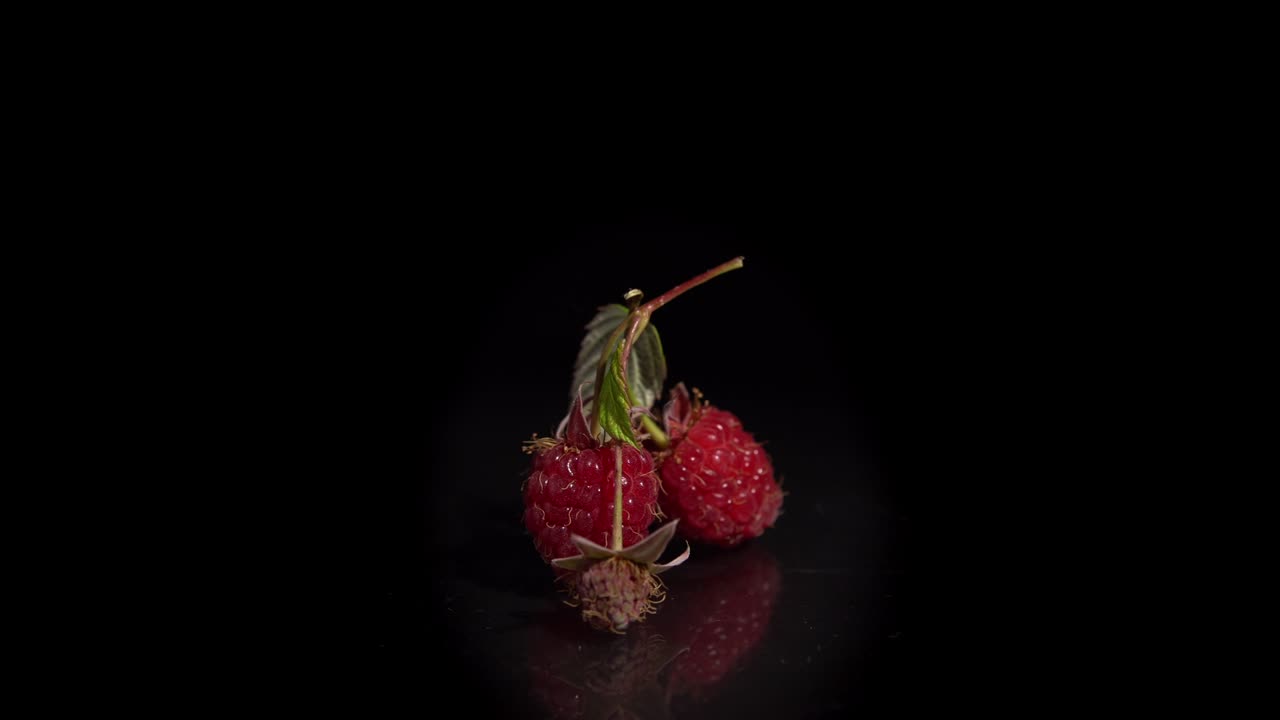 rotación de primer plano frambuesas rojas sobre un fondo negro.