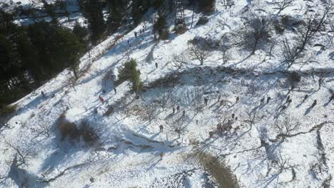 Vista-Aérea-Después-De-La-Nevada-En-Kufri-Shimla