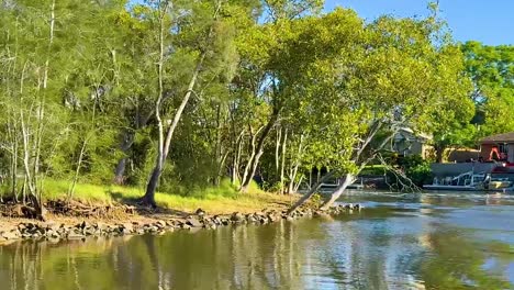 a serene view of a riverbank lined with vibrant green trees under a clear blue sky.