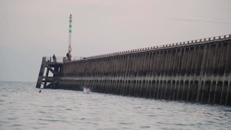 hombre con pantalones de baño rosados salta del muelle al agua