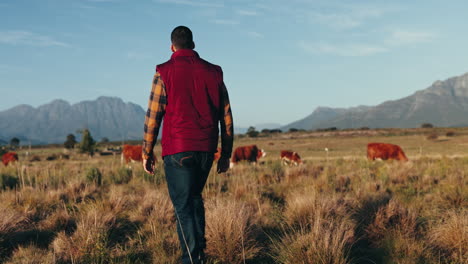 Agriculture,-farm-and-man-with-cattle