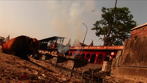 Zeremonielles-Feuer-Aus-Dem-Tempel-In-Nepal-1