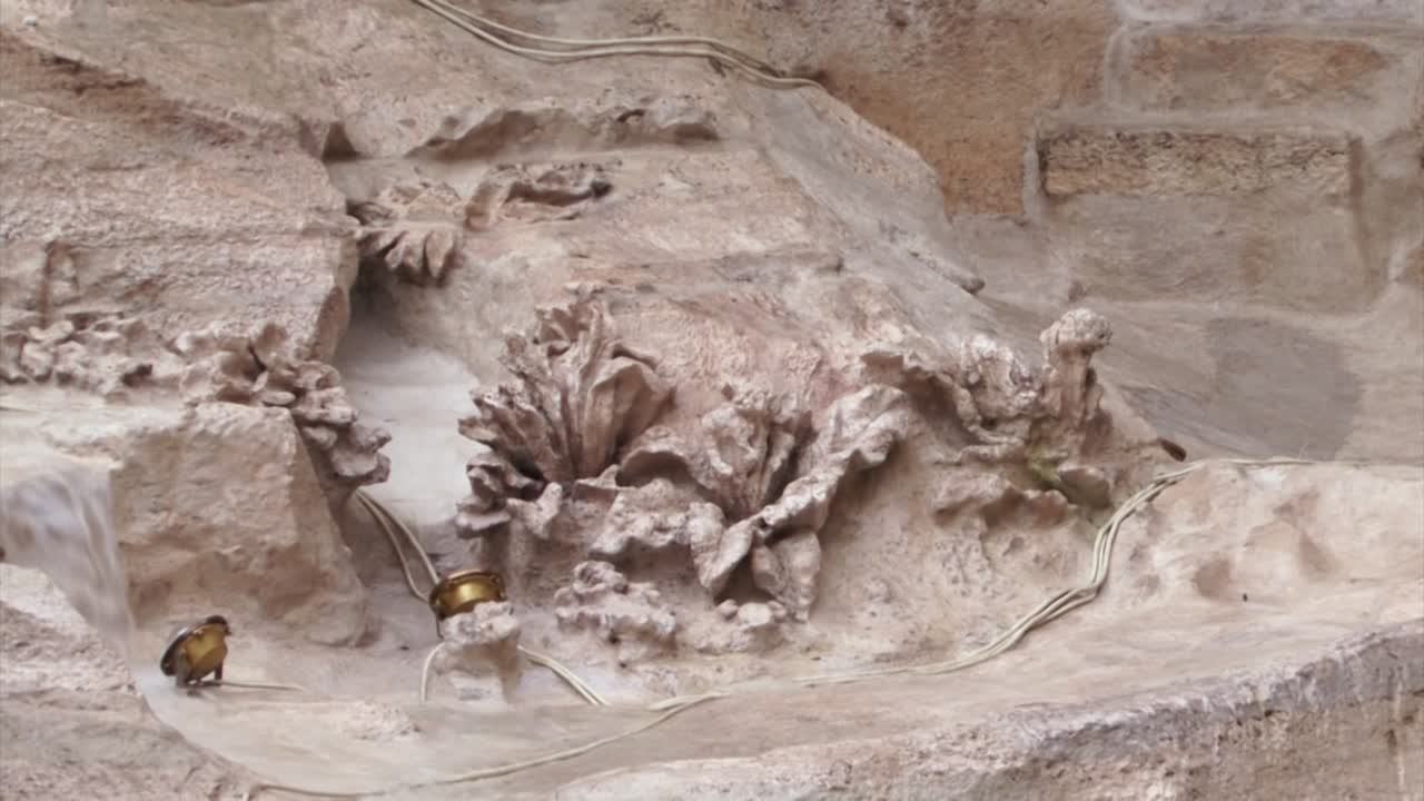 detalles de la fontana de trevi en roma, italia