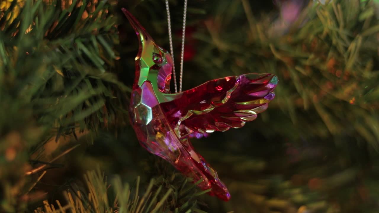 decoración de colibrí de cristal iridescente brillante en el árbol de navidad