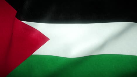 flag of palestine waving in the wind