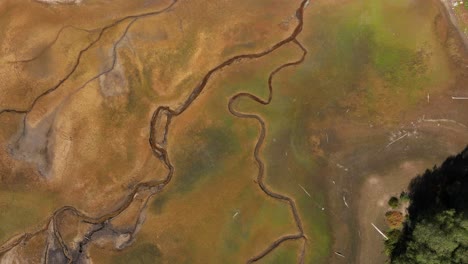 aerial views of dried riverbed and lake in forest