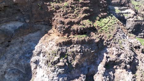 Espectaculares-Vistas-Aéreas-De-Cabras-Salvajes-Salvajes-En-Un-Viaje-épico-A-Través-De-Las-Escarpadas-Laderas-De-Las-Montañas-De-Kahikinui,-Maui