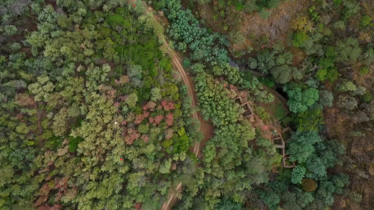 vista superior aérea de la carretera rural y las líneas eléctricas en el bosque - portugal