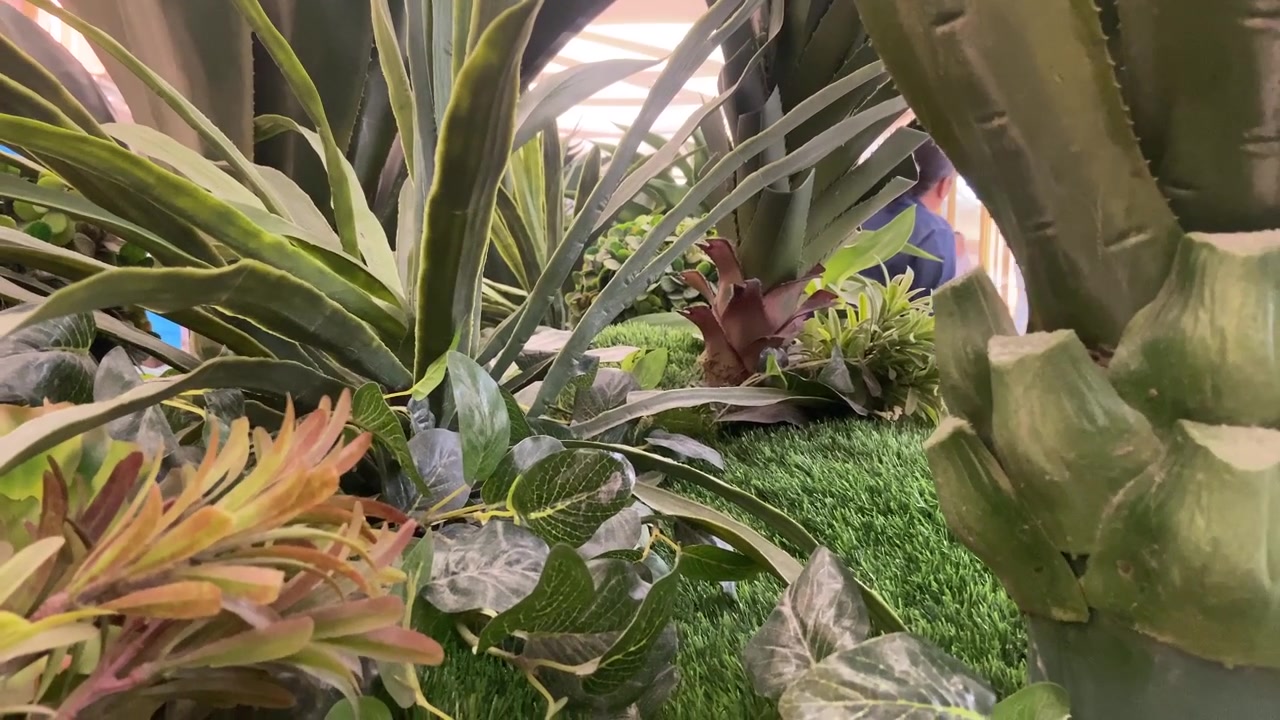 Allestimento interno con piante artificiali vivaci e prato verde