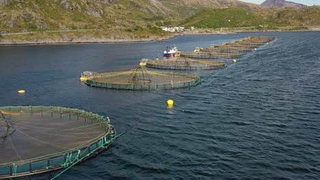 Imágenes-Aéreas-De-Una-Granja-De-Pesca-De-Salmón-En-Noruega