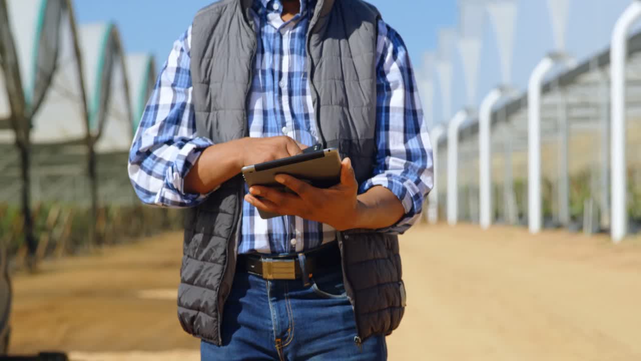hombre usando tableta digital en la granja de arándanos 4k
