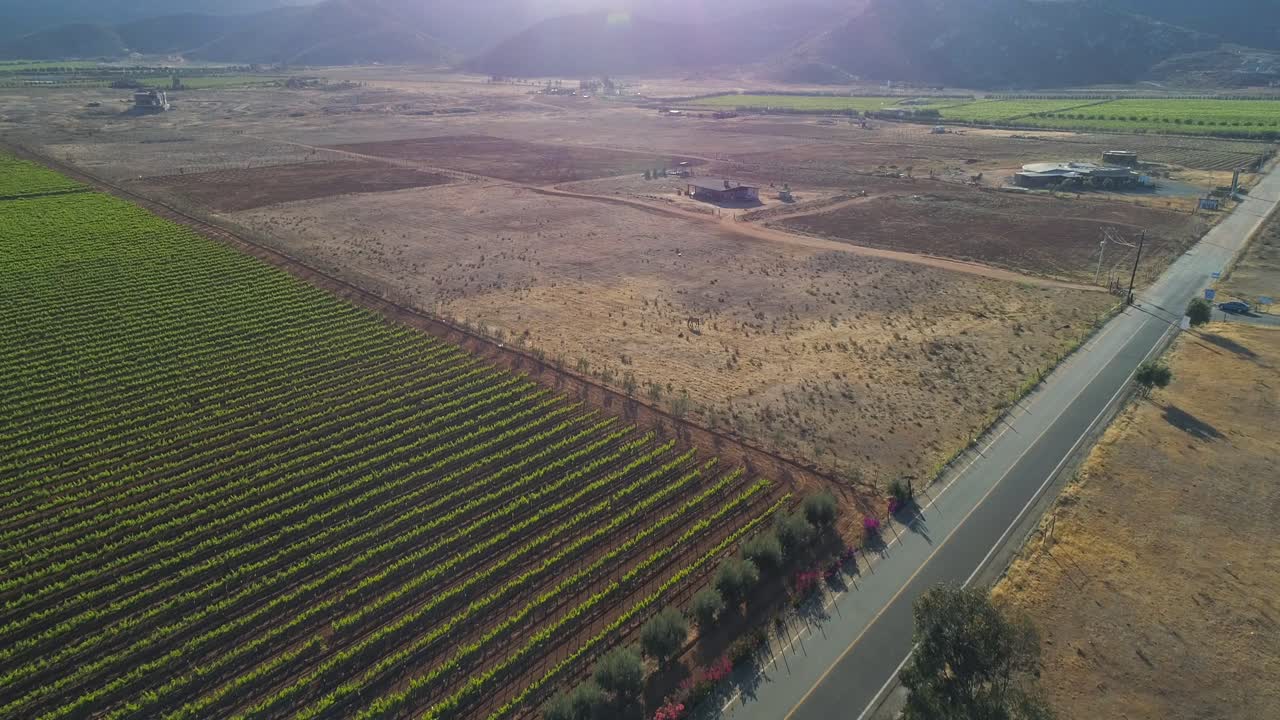 toma aerea de viñedos en valle de guadalupe