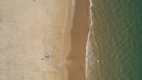 beach and ocean