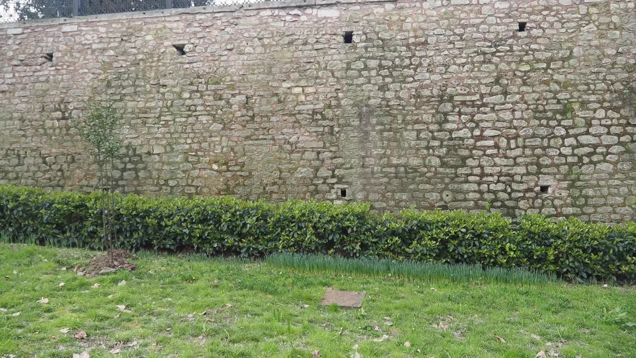 Stone Wall and Garden