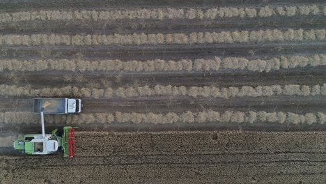 aerial shot of combine loading off corn grains