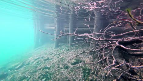 Baumwurzeln-An-Einem-Holzsteg,-Von-Einem-Taucher-Aus-Unter-Wasser-Gesehen