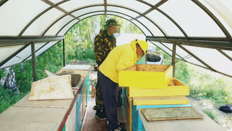 beekeepers inspecting beehives