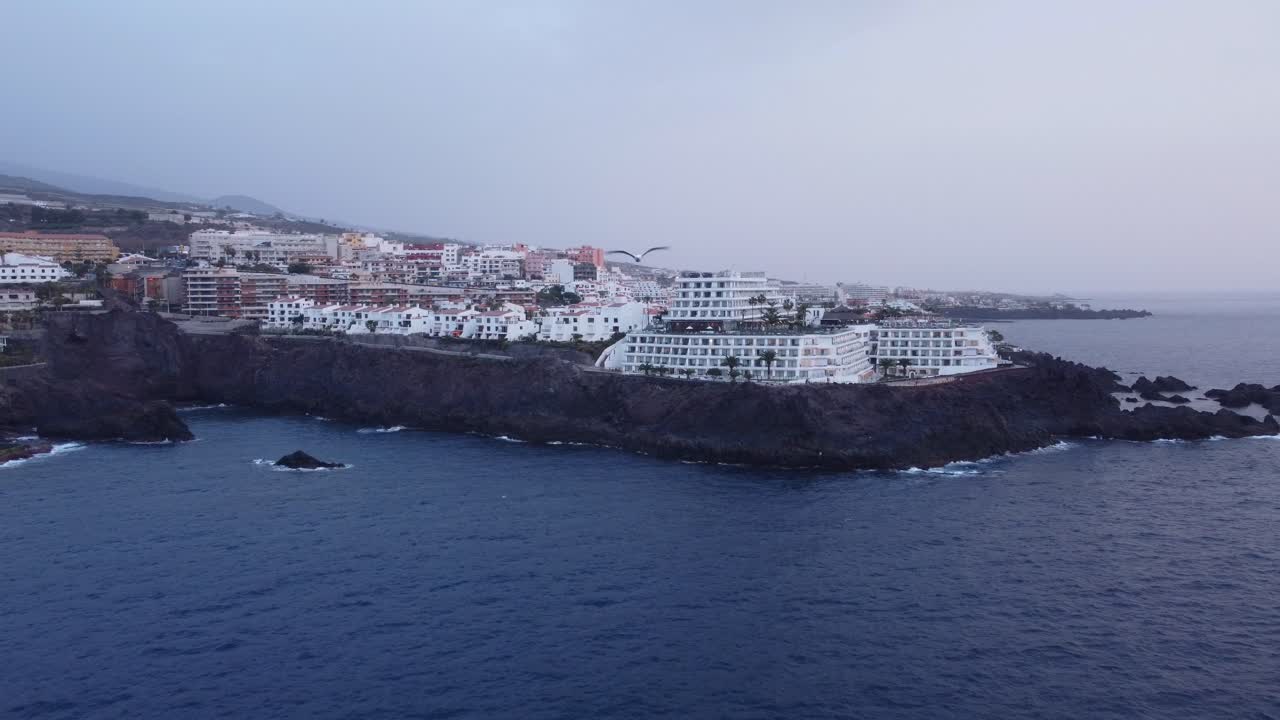 gaviota gaviota volando con la hermosa costa adeje tenerife españa olas y rocas imágenes aéreas drone hora mágica