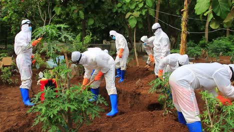 the funeral process of a corpse infected with the corona virus with the covid-19 protocol. (the funeral of a covid-19 patient), not focus image and noise, pekalongan