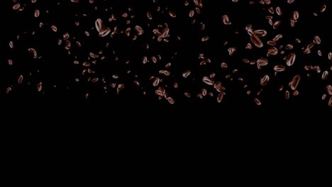 4k roasted coffee beans falling down in slow motion on brown loop background.
