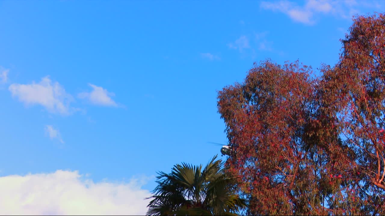 마린 원 헬리콥터가 대통령과 함께 날아갑니다.